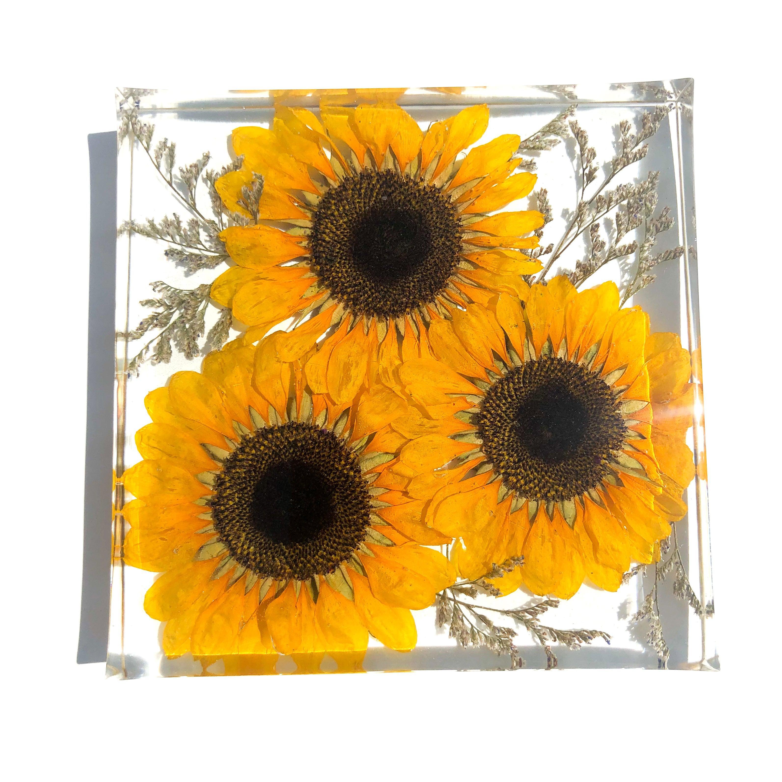 Square Block Flower Preservation